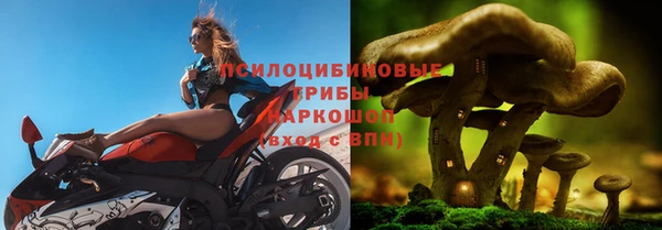 стафф Абинск