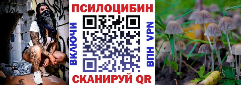 Галлюциногенные грибы Magic Shrooms  Камень-на-Оби 