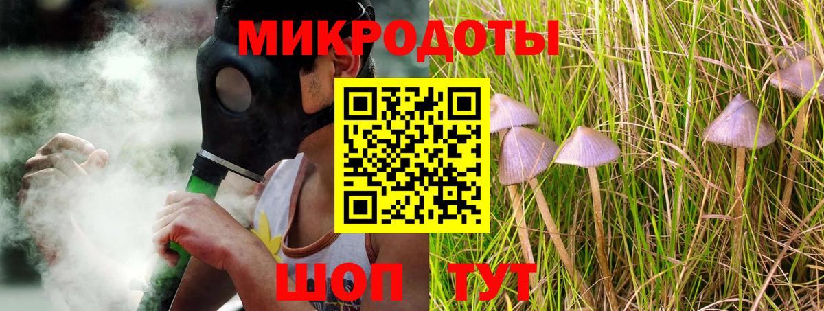 Галлюциногенные грибы прущие грибы  Галлюциногенные грибы Cubensis  Камень-на-Оби  Вход с VPN 